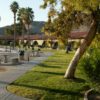Lake Mohave Cottonwood Cover Marina Cottonwood Cove Lake Mohave Marina