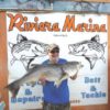39 Pound Striped Bass Caught in the Colorado River Below Lake Mohave February 2019 39 pound Striper February 2019